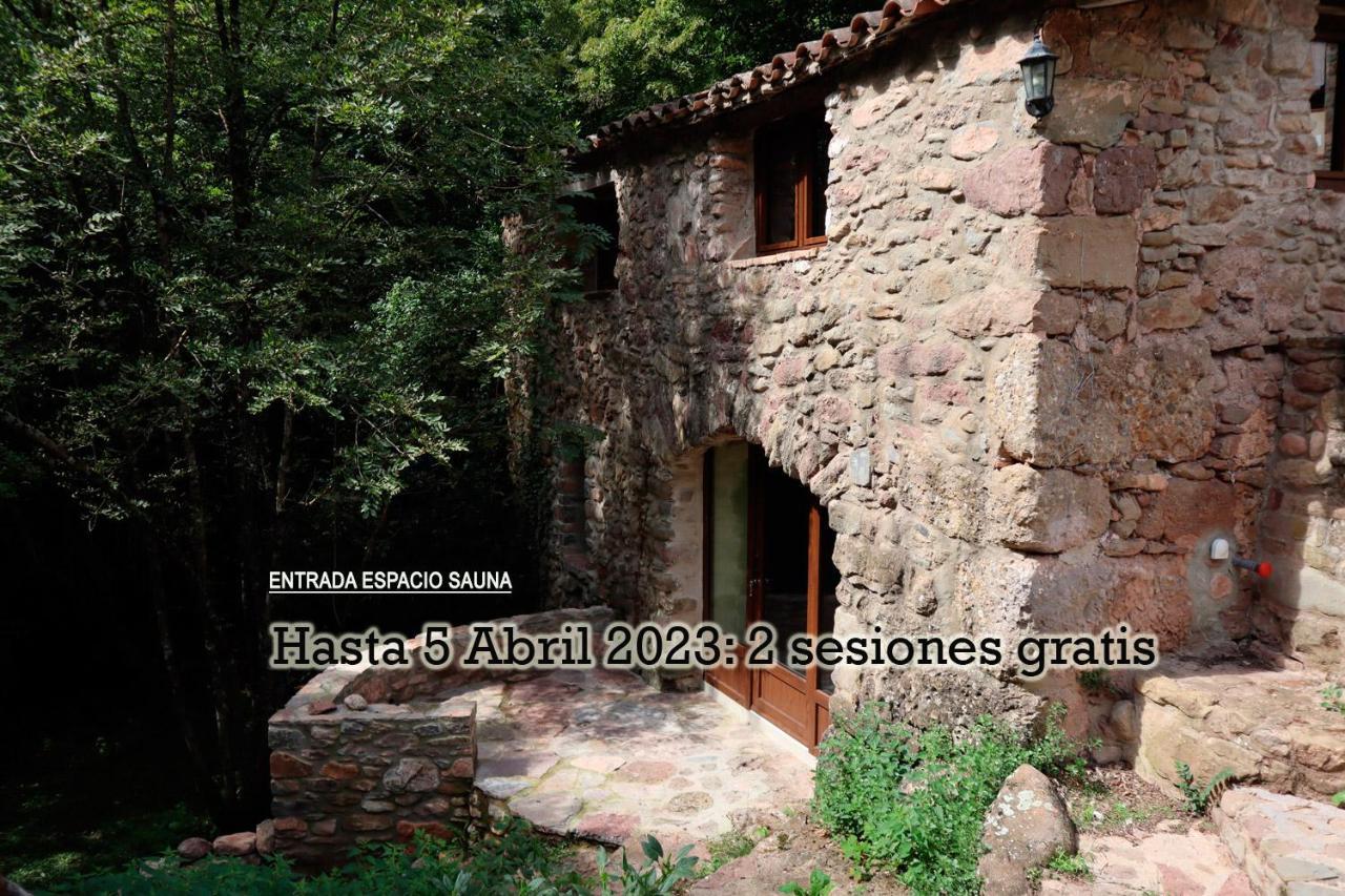 El Paller del Molí de la Plana Riudaura Exterior foto